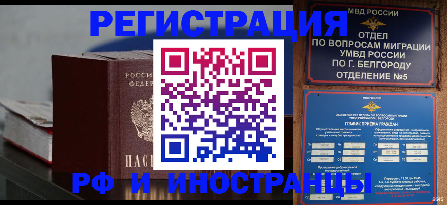 прописка 2025 в Новозыбкове